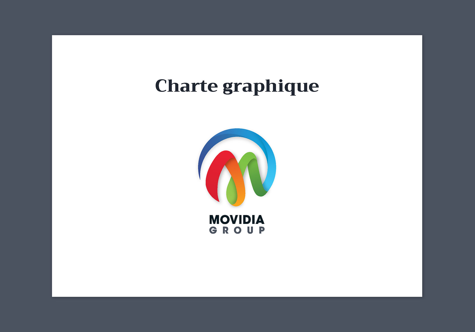 Balloo Web Agency – Charte graphique Movidia Group Page_1